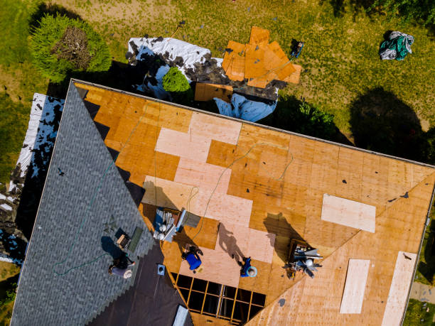 Best Flat Roof Repair Services  in South Lyon, MI