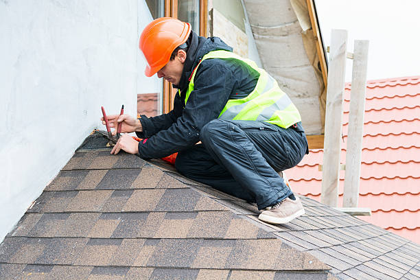 Best Residential Roofing Contractor  in South Lyon, MI